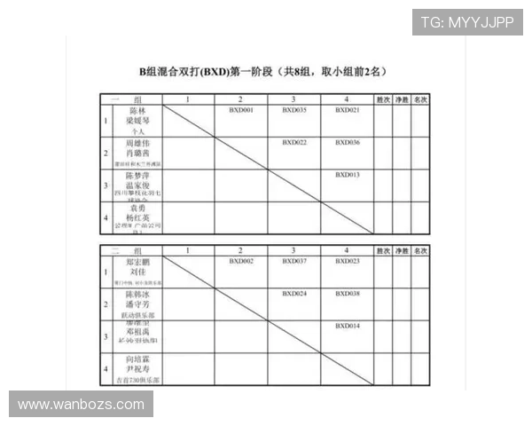 成都羽毛球队在挑战赛中的实力展现与未来发展潜力分析