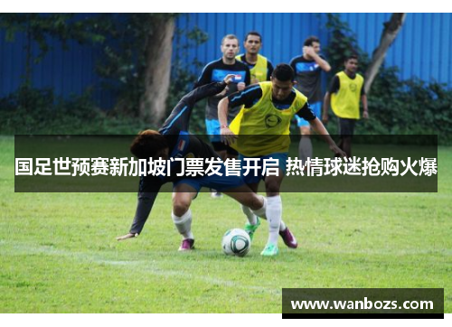 国足世预赛新加坡门票发售开启 热情球迷抢购火爆